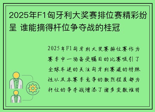 2025年F1匈牙利大奖赛排位赛精彩纷呈 谁能摘得杆位争夺战的桂冠